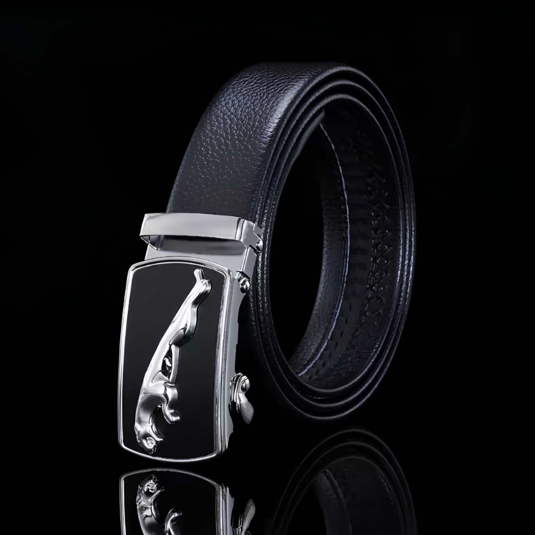 Riem CH - 40305 - Zwart / Zilver / Type2