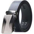 Zilver / Typ2