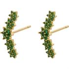 Goud / Groen