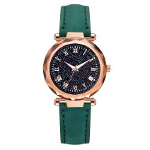 Horloge SA-13882 - Groen